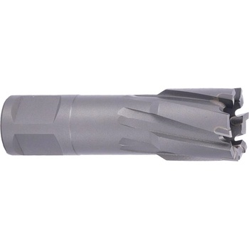 ABSE N-CA-W19-0200035
