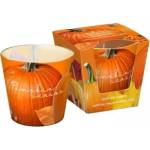 Bartek Candles Свещи Bartek сезон на тиква 115 г