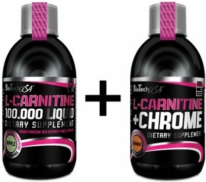 l carnitine alzheimers disease Preventive Role of L-Carnitine and Balanced Diet in Alzheimer's Disease