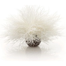 BiOrb Sea lilies biela 11 cm