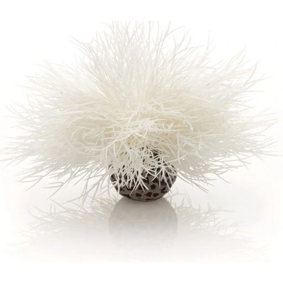 BiOrb Sea lilies biela 11 cm