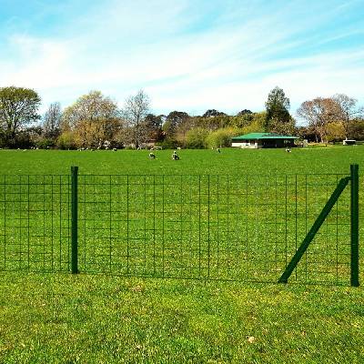 vidaXL Euro plot ocel 25 x 0,8 m zelený