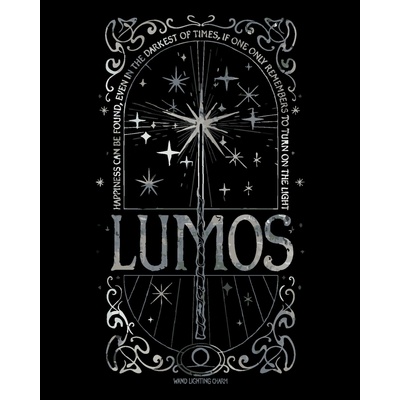 ZUTY Malování podle čísel PLAKÁT LUMOS HARRY POTTER Rozměr 40 x 50 cm Rámování bez rámu a bez vypnutí plátna