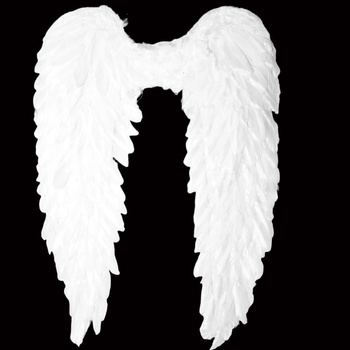 HOME Anjelské krídla biele 78x55 cm