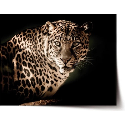 Sablio Plagát Leopard - 60x40 cm