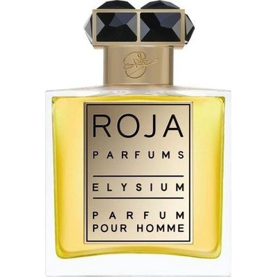 Roja Parfums Elysium parfém pánská 50 ml