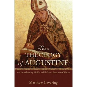 Theology of Augustine - An Introductory Guide to His Most Important Works (ISBN: 9780801048487)