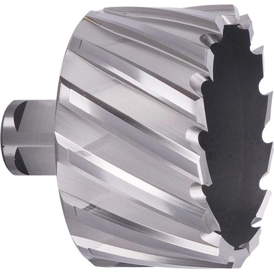 ABSE N-HS-W19-0620025