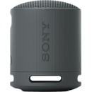 SRS XB100