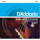 D'Addario EJ87T