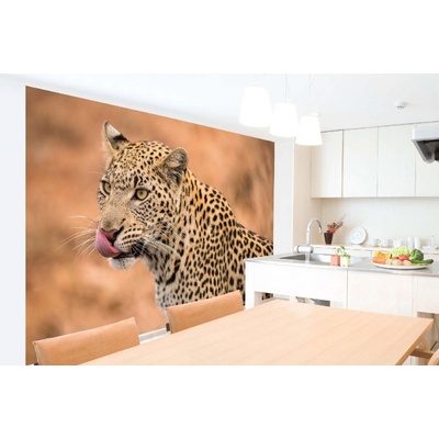 Dimex MA-5-0561 Samolepicí vliesová fototapeta na zeď Samice leoparda rozměry 375 x 250 cm