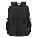 Samsonite Biz2Go 15.6 (142144)