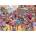 Gibsons - Puzzle Page Turners - 1 000 piese