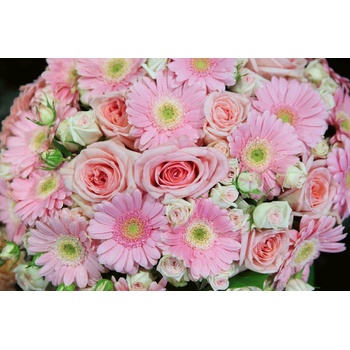 DIMEX ART s. r. o Флизелинов фототапет гербери 375 x 250 см