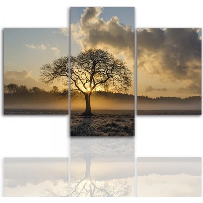 Divio Třídílný obraz na plátně strom, vzor 12264 Velikost: 120x180 cm