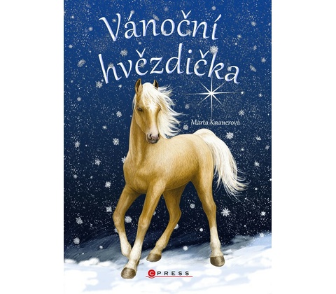 Vánoční hvězdička