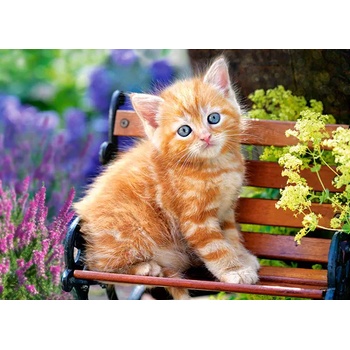 Image 1 of Castorland - Puzzle Ginger Kitten - 180 piese