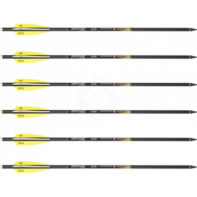 By Beier Germany Skylon X-Bow 18“ 6 ks – Zboží Mobilmania