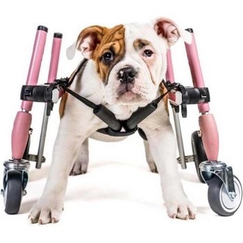 Walkinpets Invalidný vozík pre psa S Predné kolesá 5 8 kg 7 15 cm Mätová