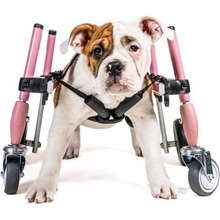 Walkinpets Invalidný vozík pre psa S Predné kolesá Modrá 5 8 kg 22 33 cm