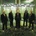 TANZWUT: LABYRINTH DER SINNE CD