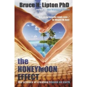 Honeymoon Effect (2014)