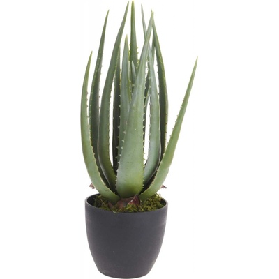 ProGarden Umělá rostlina Aloe, 45 cm zelený
