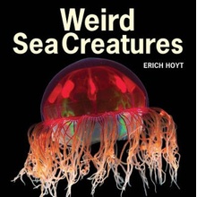 Weird Sea Creatures - E. Hoyt