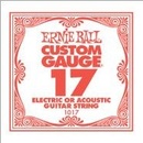 ERNIE BALL 1017