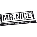 Mr. Nice Dreamtime semena neobsahují THC 15 ks