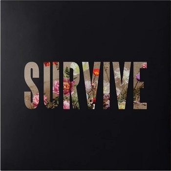 Lewis Capaldi - Survive (Limited Edition) (Clear Coloured) (EP Single 12") (602478362903)