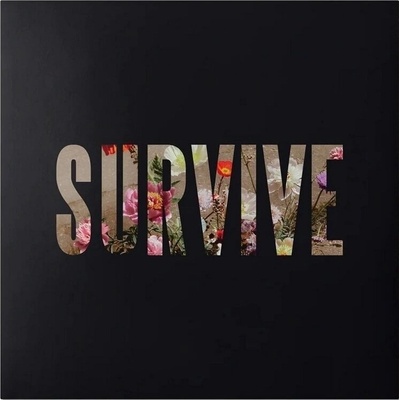 Lewis Capaldi - Survive (Limited Edition) (Clear Coloured) (EP Single 12") (602478362903)