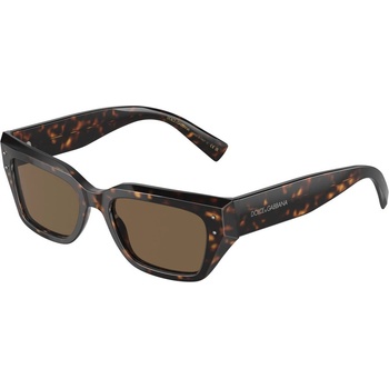 Dolce&Gabbana DG4462 502/73