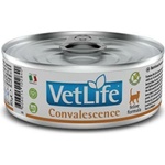 Vet Life Convalescence 85 g