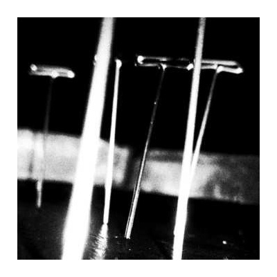 Soft Vein - Pressed In Glass CLR LP