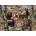 Masterpieces - Puzzle Open Season - 1 000 piese