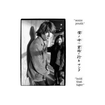 Sonic Youth - HOLD THAT TIGER CD