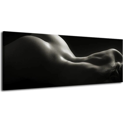 Obraz ženský akt plátno 1 100x40