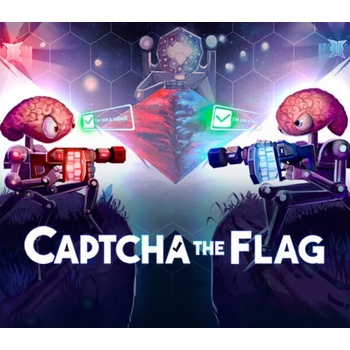 Captcha The Flag
