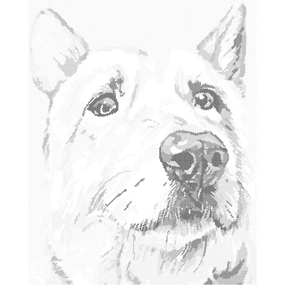 ZUTY Bodkovanie - SMUTNÝ PSÍK Rámovanie: vypnuté plátno na rám, Rozmer: 40x50 cm