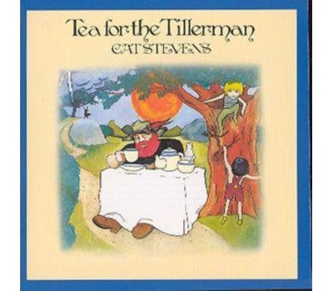 STEVENS CAT: TEA FOR THE TILLERMAN CD