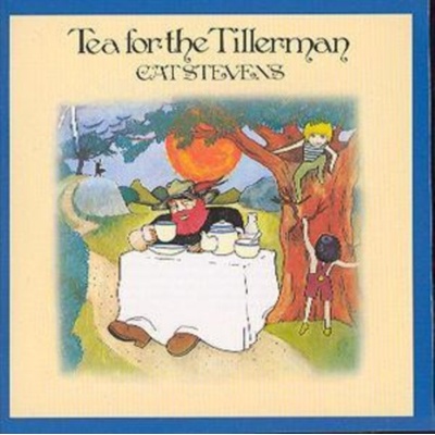 STEVENS CAT: TEA FOR THE TILLERMAN CD