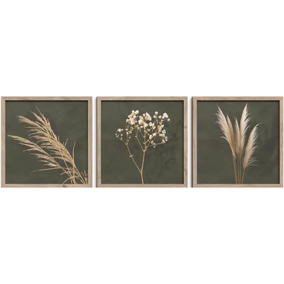 Obrazy v súprave 3 ks 30x30 cm Pampas – Styler