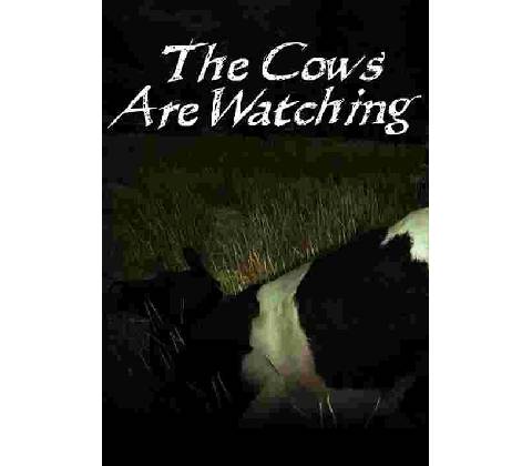 The Cows Are Watching