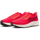 Nike Air Zoom Pegasus 39 dh4071-600