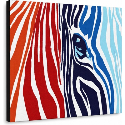 Ručne maľovaný POP Art obraz COLOURS zebra - 80x60 cm