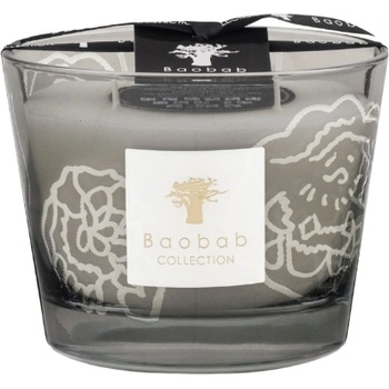 Baobab Collection Collectible Roses Ароматна свещ сива, 10 см (MAX10CORG)