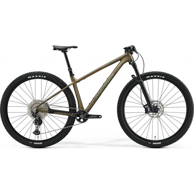 MERIDA BIG.NINE TR LIMITED 2025