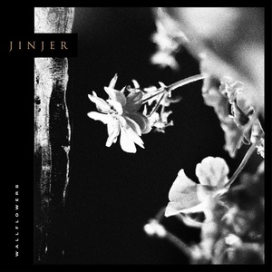 Mystic Production Jinjer: Wallflowers - Vinyl (LP) (054846)