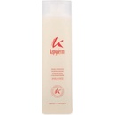 Kayderm Šampón normalizačný 250 ml